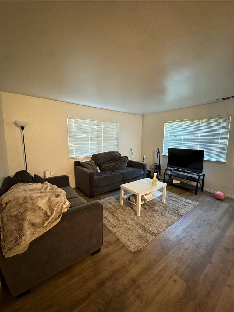 Need a third roommate!!