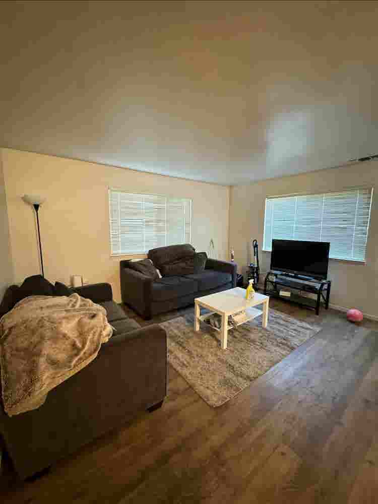 Need a third roommate!!