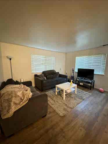 Need a third roommate!!