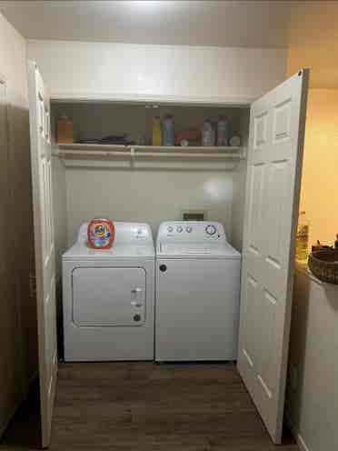 Need a third roommate!!