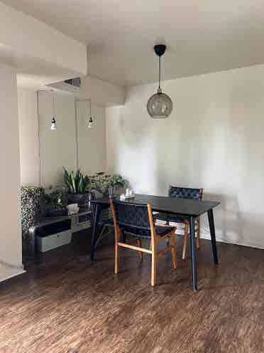 artist and cat seeking housemate