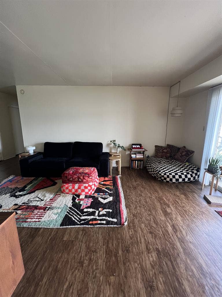 artist and cat seeking housemate