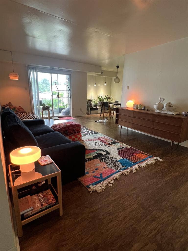 artist and cat seeking housemate