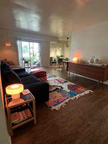 artist and cat seeking housemate
