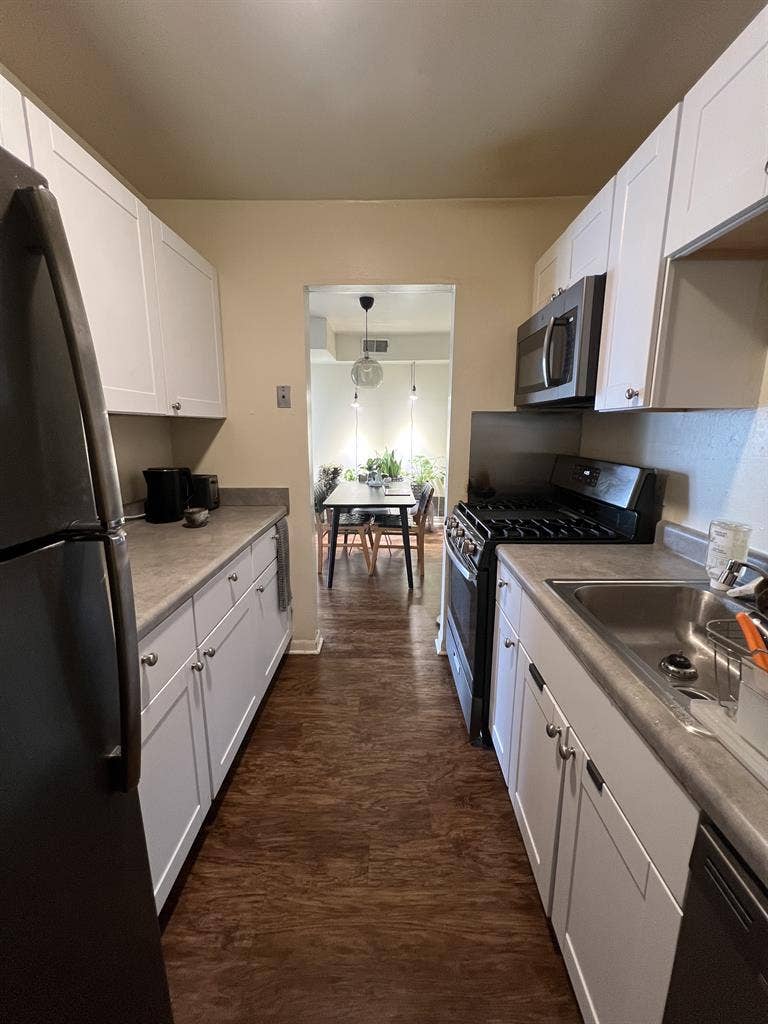 artist and cat seeking housemate