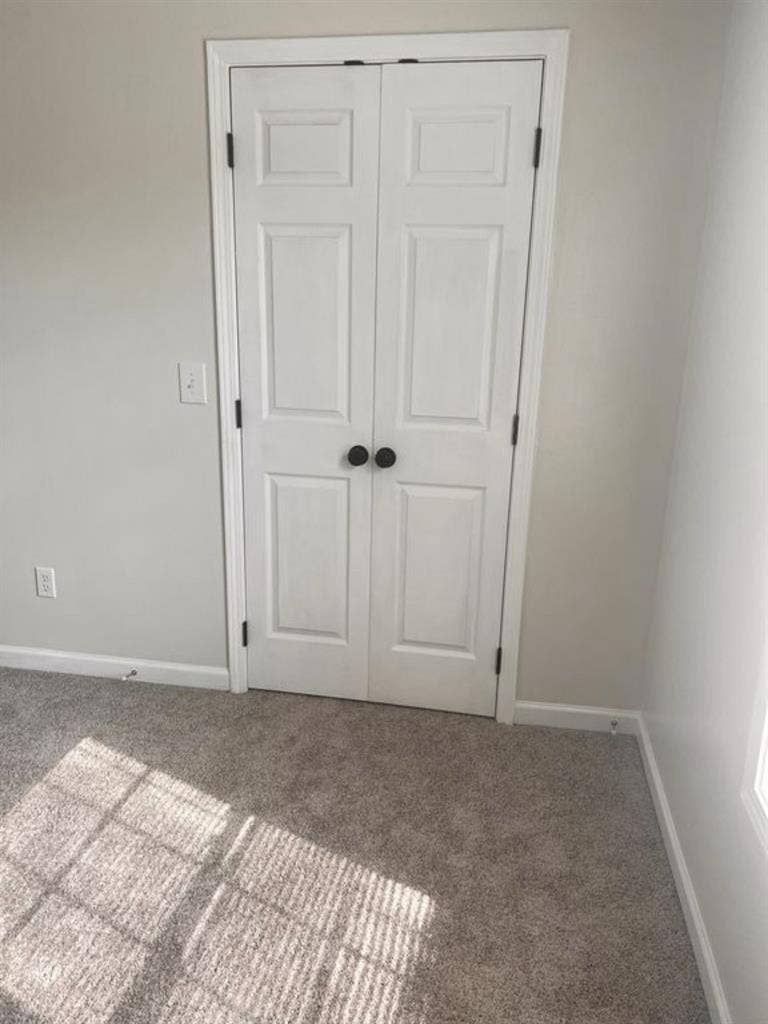 Looking for TWO roommates!