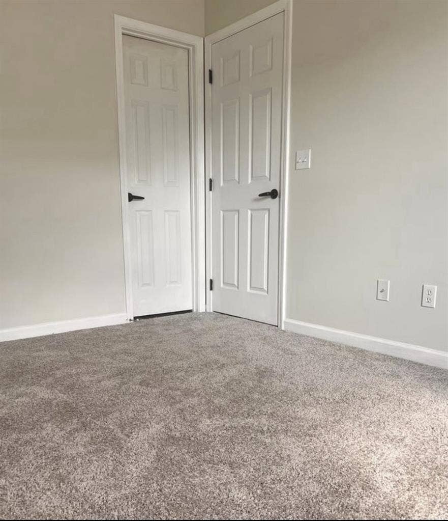 Looking for TWO roommates!