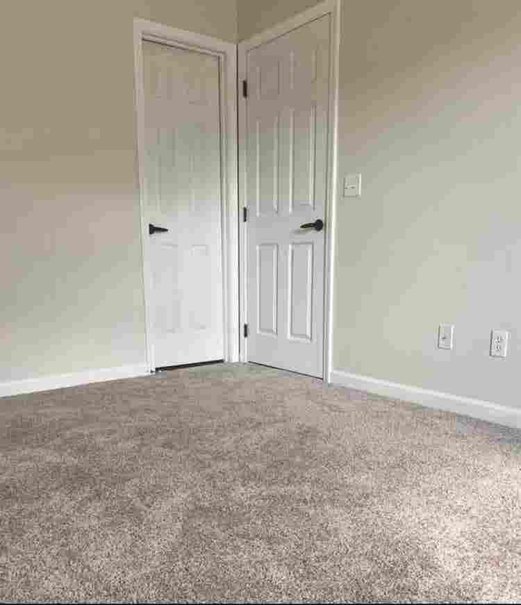 Looking for TWO roommates!