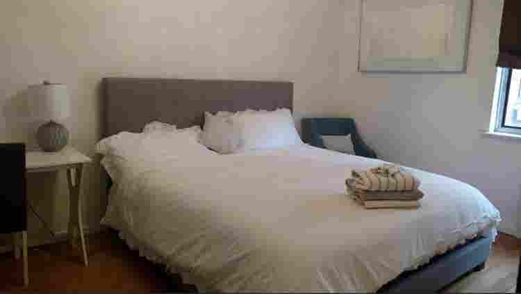 Looking for a roommate