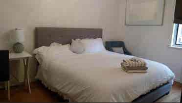 Looking for a roommate