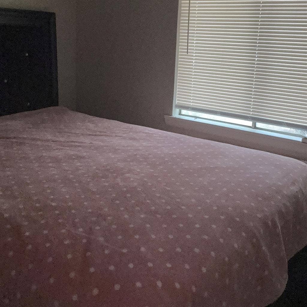 Clean Quite Queen Room