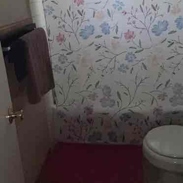 Clean Quite Queen Room