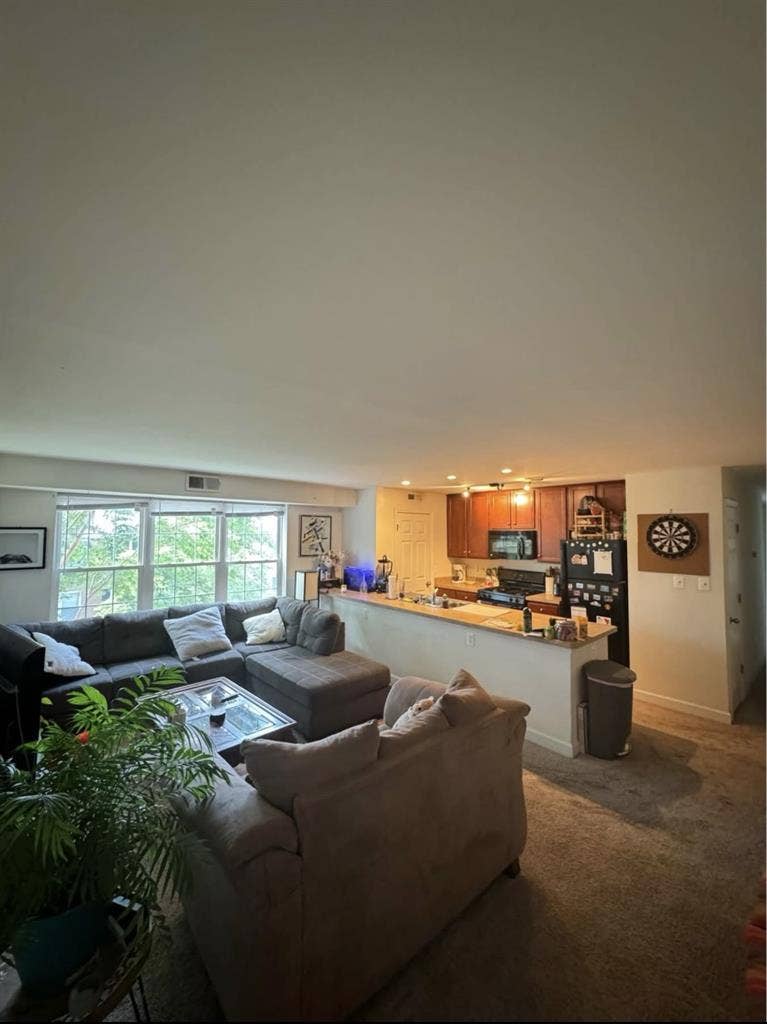 Looking for Roommate! Arlington