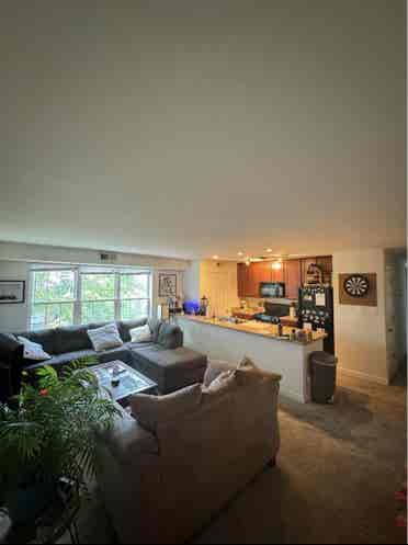 Looking for Roommate! Arlington