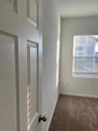 Great Room for rent in Minneola,FL