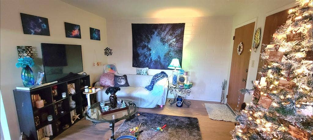 Room +storage unit in apt by CSU