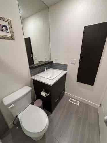 Single roommate wanted by Aug. 1st