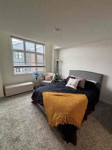 Single roommate wanted by Aug. 1st