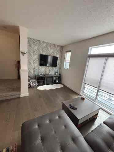 Single roommate wanted by Aug. 1st