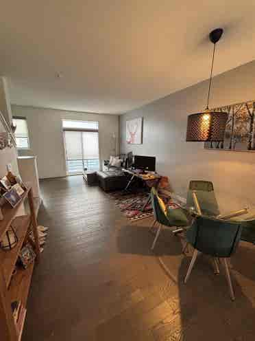 Single roommate wanted by Aug. 1st