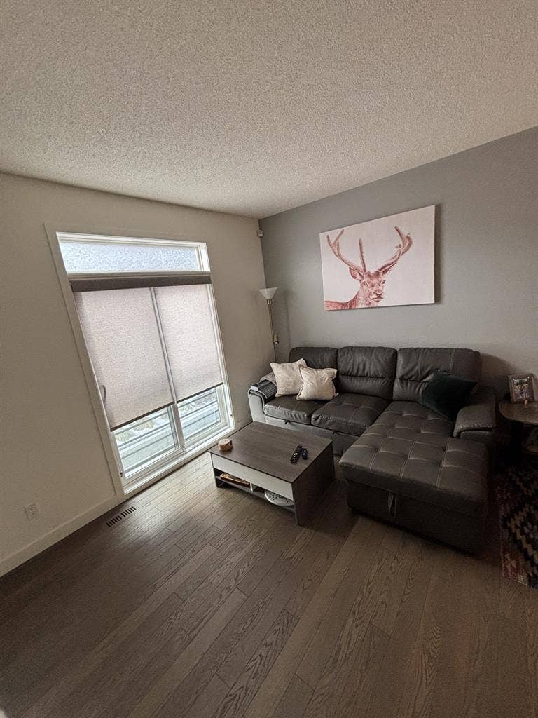 Single roommate wanted by Aug. 1st