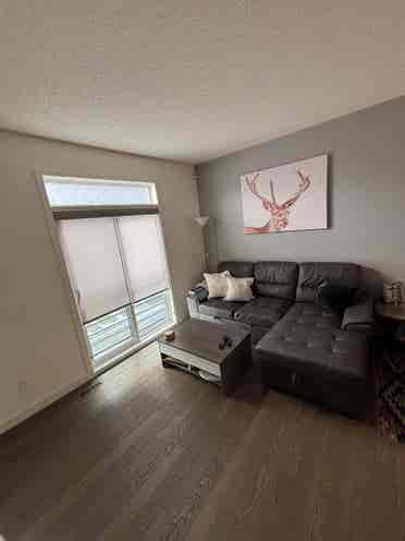 Single roommate wanted by Aug. 1st