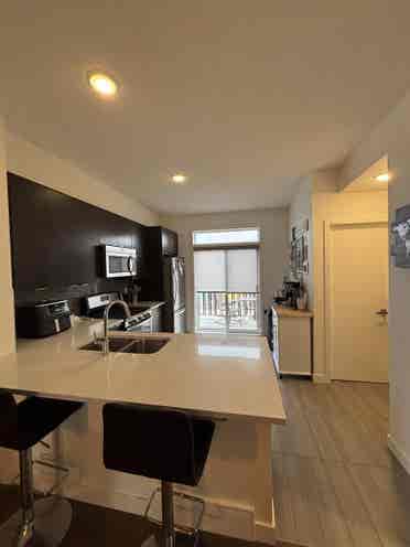 Single roommate wanted by Aug. 1st