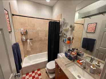 Roommate Needed near Wicker Park!