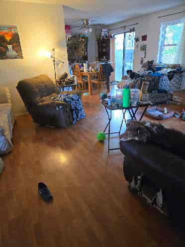 Queer and neurodivergent household