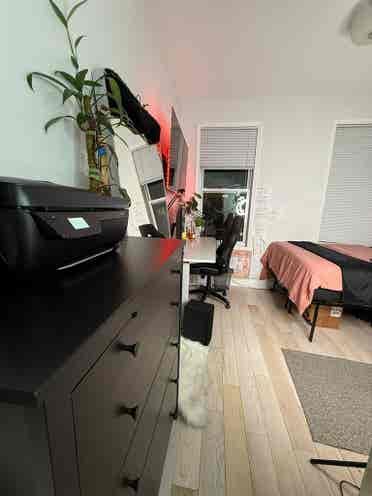 Subletting room in East Williams