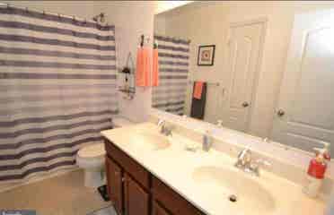2 rooms for rent, $