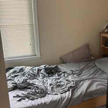 Looking for a renter in Roseville!