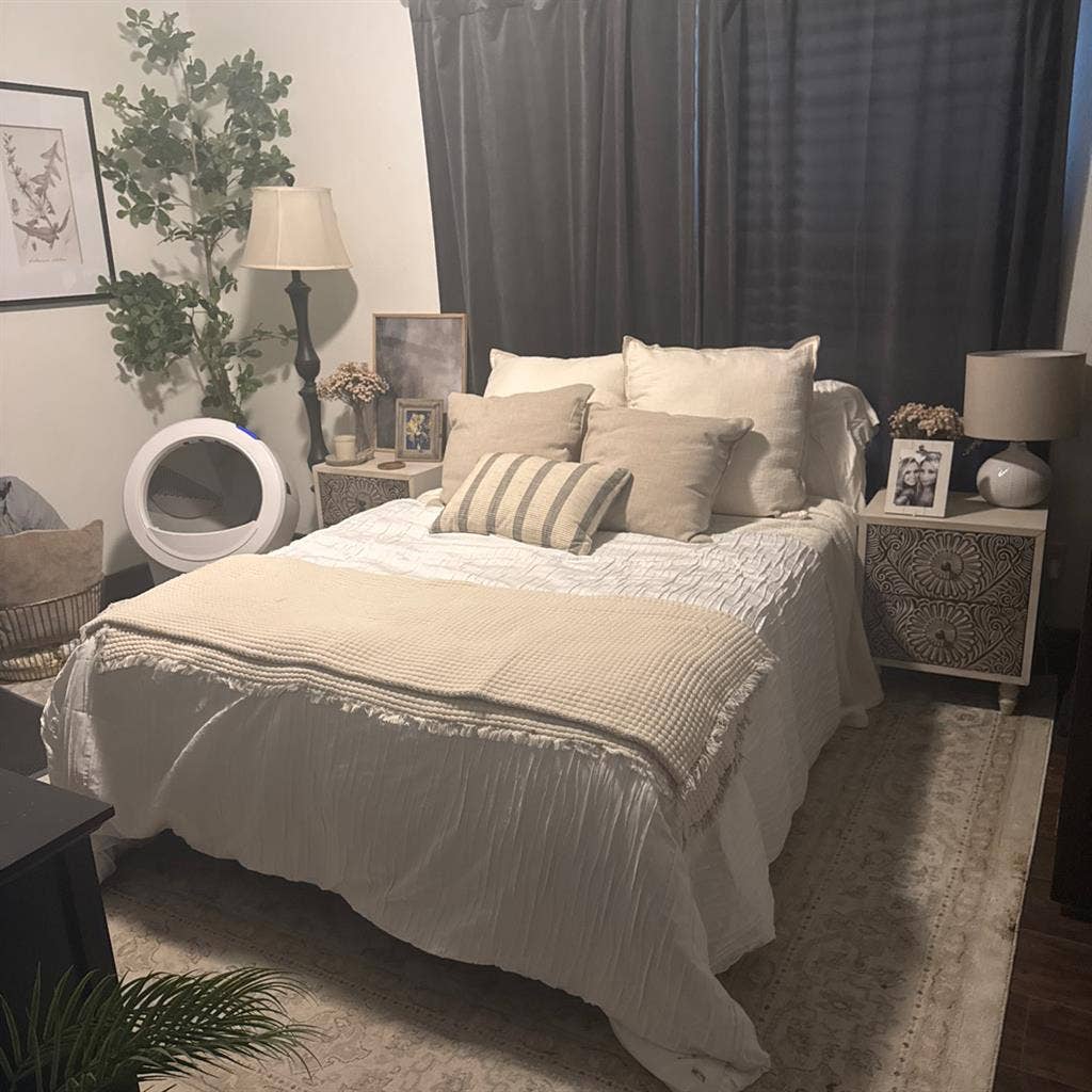 Female Roommate Springtown TX