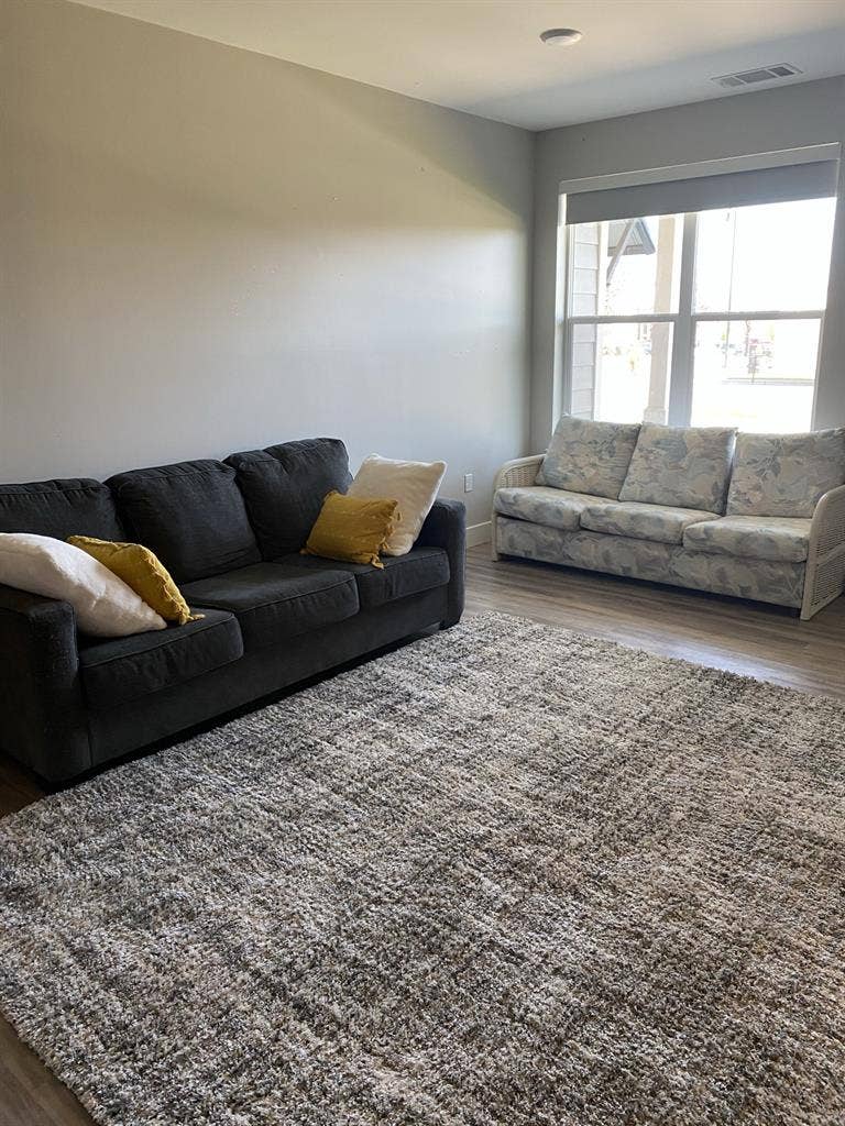 Roommate urgently needed