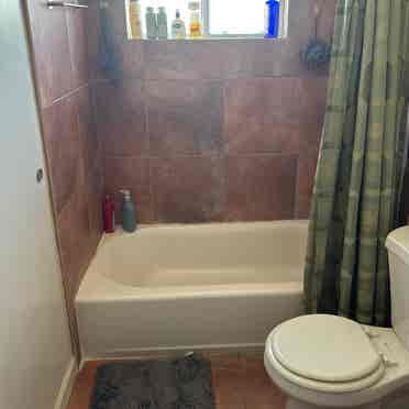 Looking to rent a room temporarily