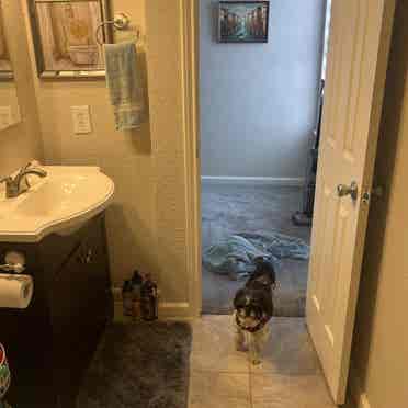 Upstairs room for rent