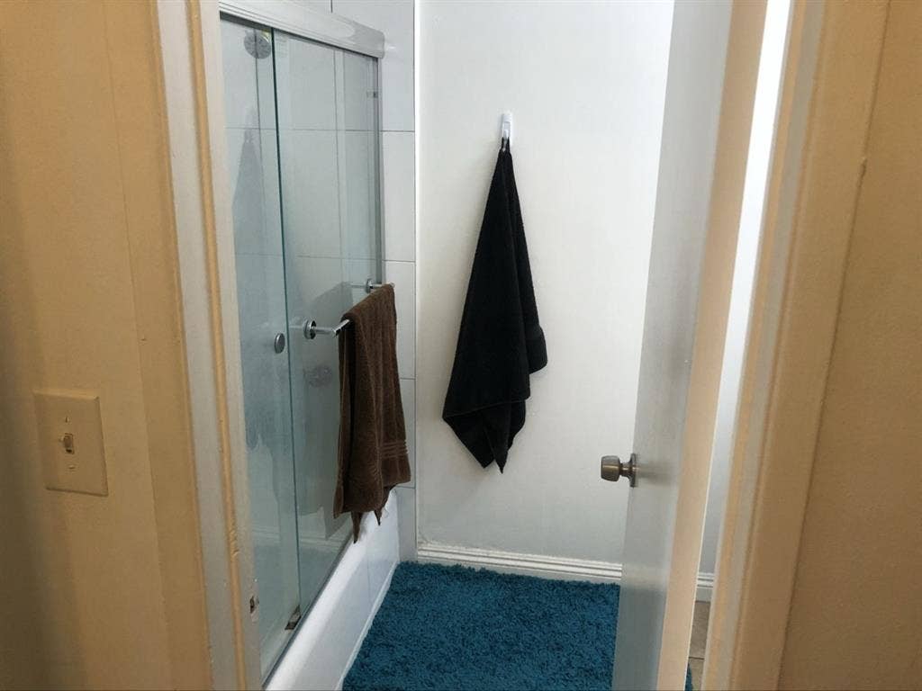 Shared Spacious Studio Apartment