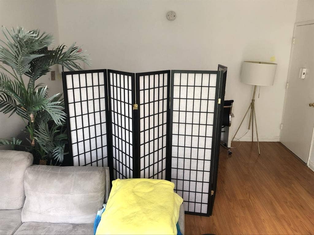 Shared Spacious Studio Apartment