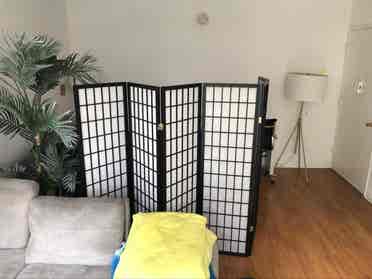 Shared Spacious Studio Apartment