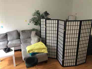 Shared Spacious Studio Apartment