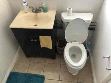 Shared Spacious Studio Apartment