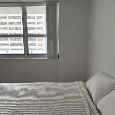 Ocean View Room in Brickell