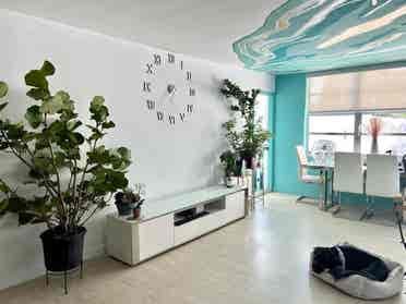 2 Room Large Aventura Apartment