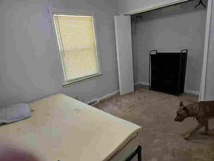 Looking for a roommate in Roanoke