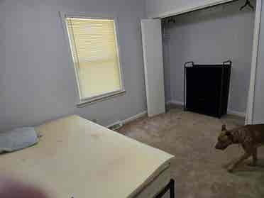 Looking for a roommate in Roanoke