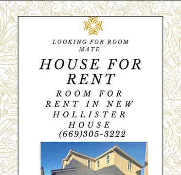 Shared Housing- Roommate