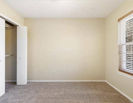 Looking for chill tenant