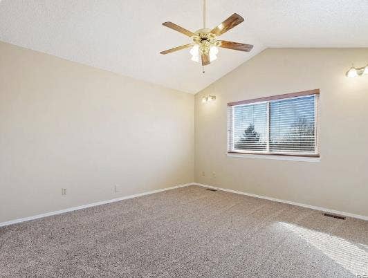Looking for chill tenant