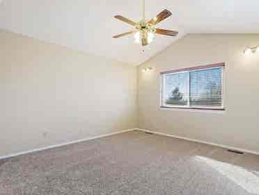 Looking for chill tenant