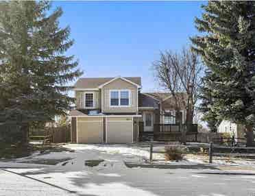 Looking for chill tenant